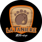 22-min.png